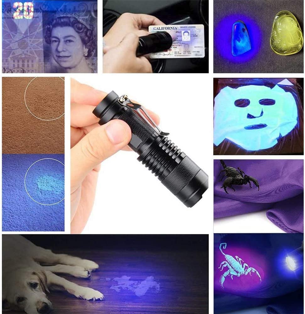Linterna UV LED luz negra ultravioleta pet orina detector - Imagen 4